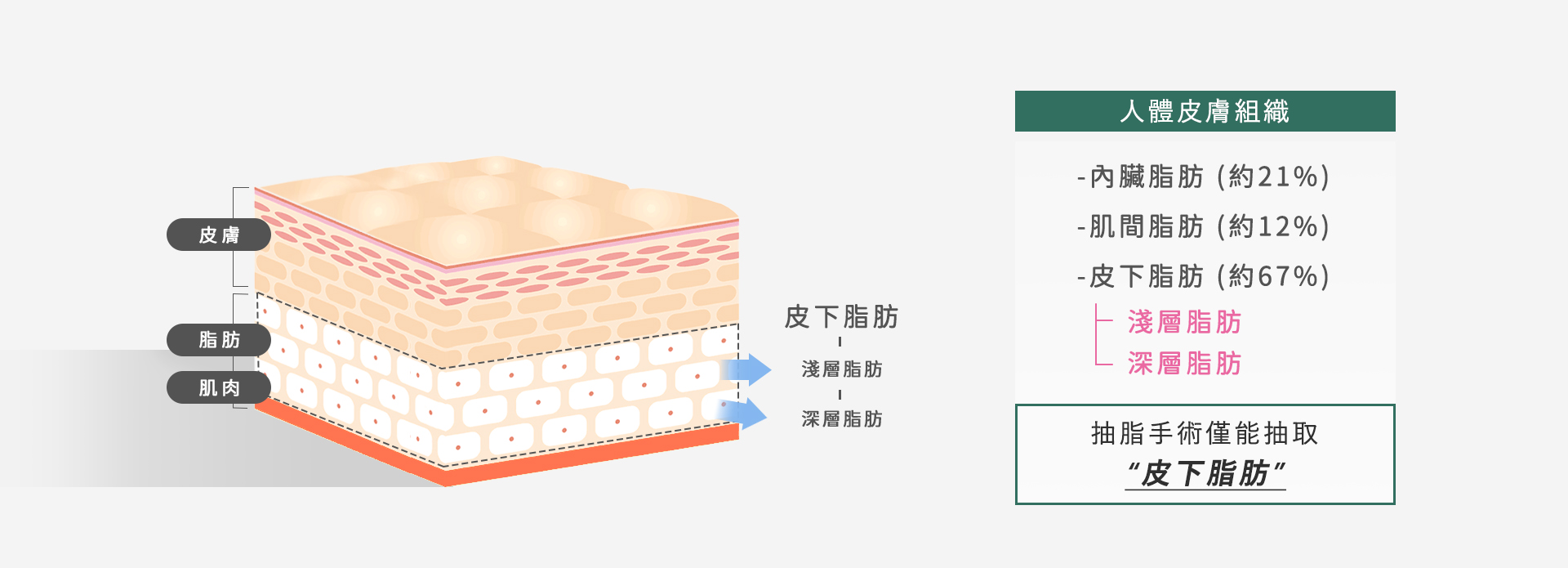 高雄抽脂手術_永恆醫美